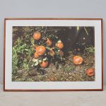 1747 5281 Fotokonst